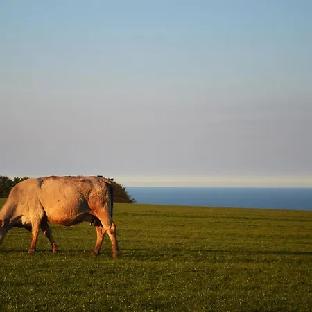 The Yorkshireman Holiday home Ravenscar