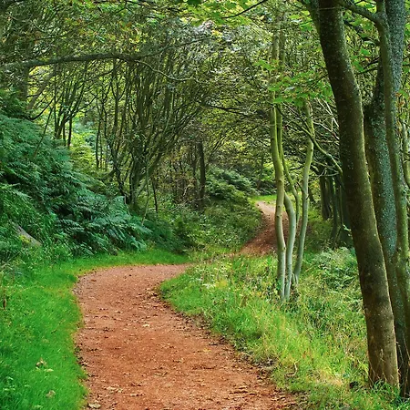 The Yorkshireman * レイヴンズカー